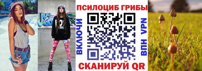 Псилоцибиновые грибы мухоморы  Вытегра 